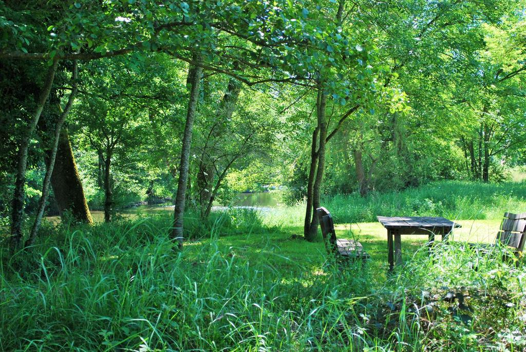 Domaine Les Gandins Bed and Breakfast Saint-Germain-de-Salles Eksteriør billede